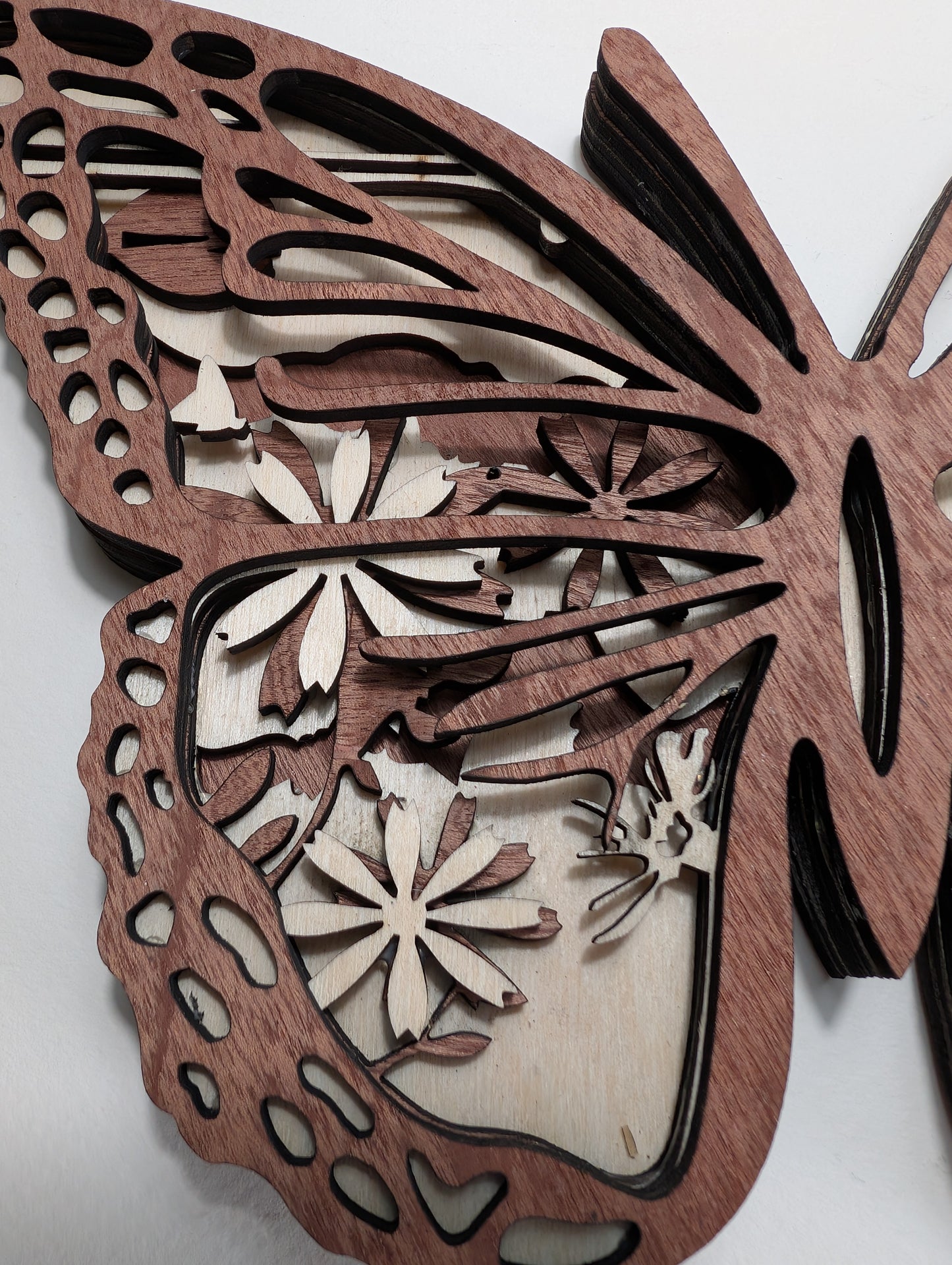 Papillon
