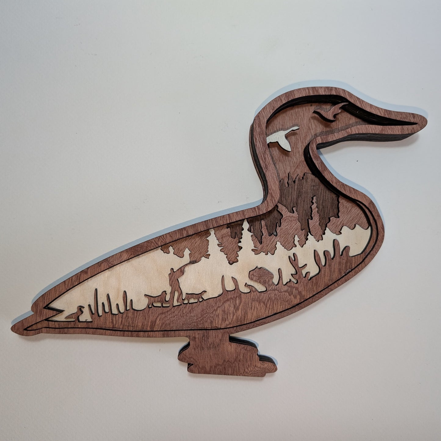 Canard