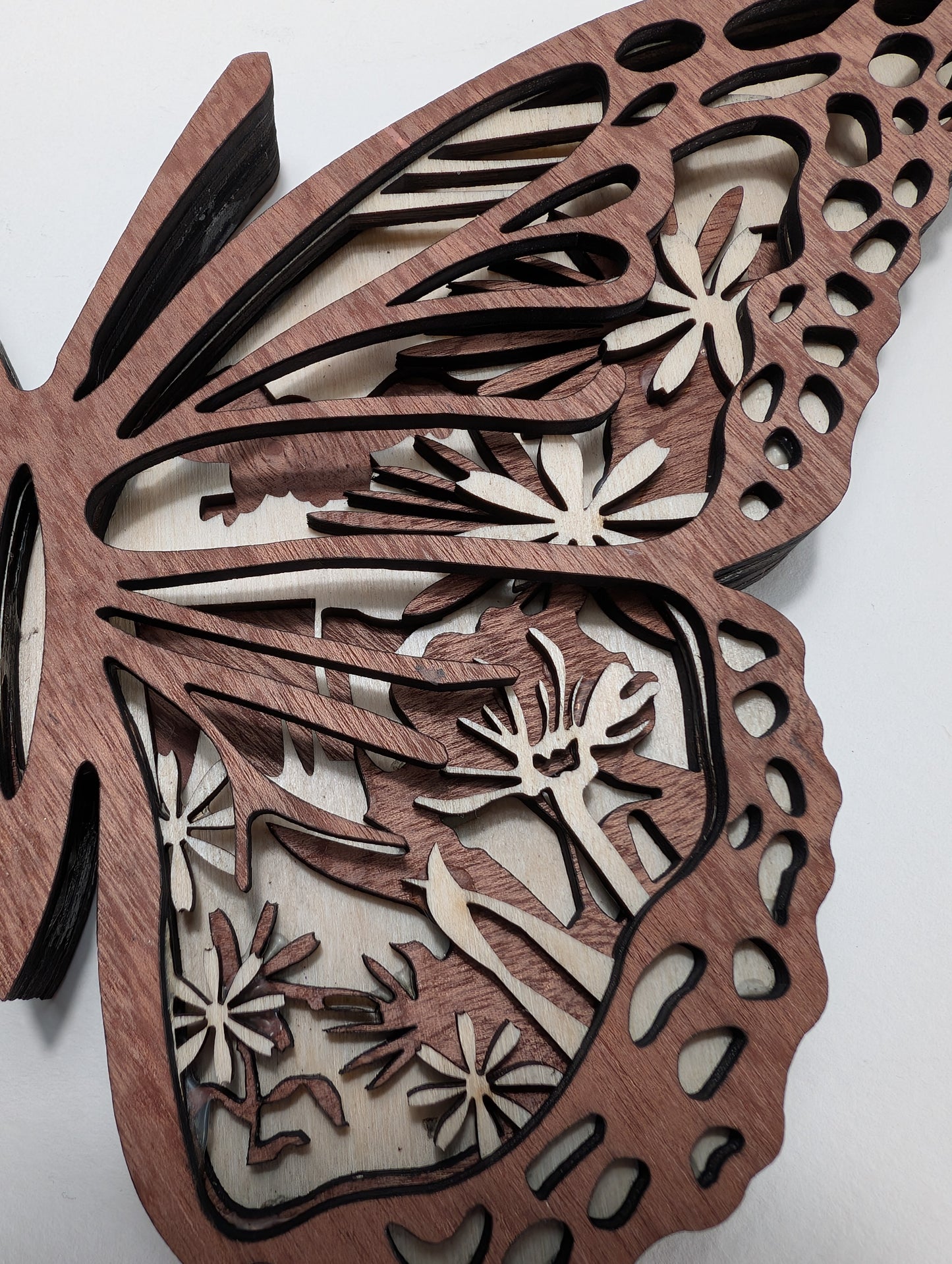 Papillon
