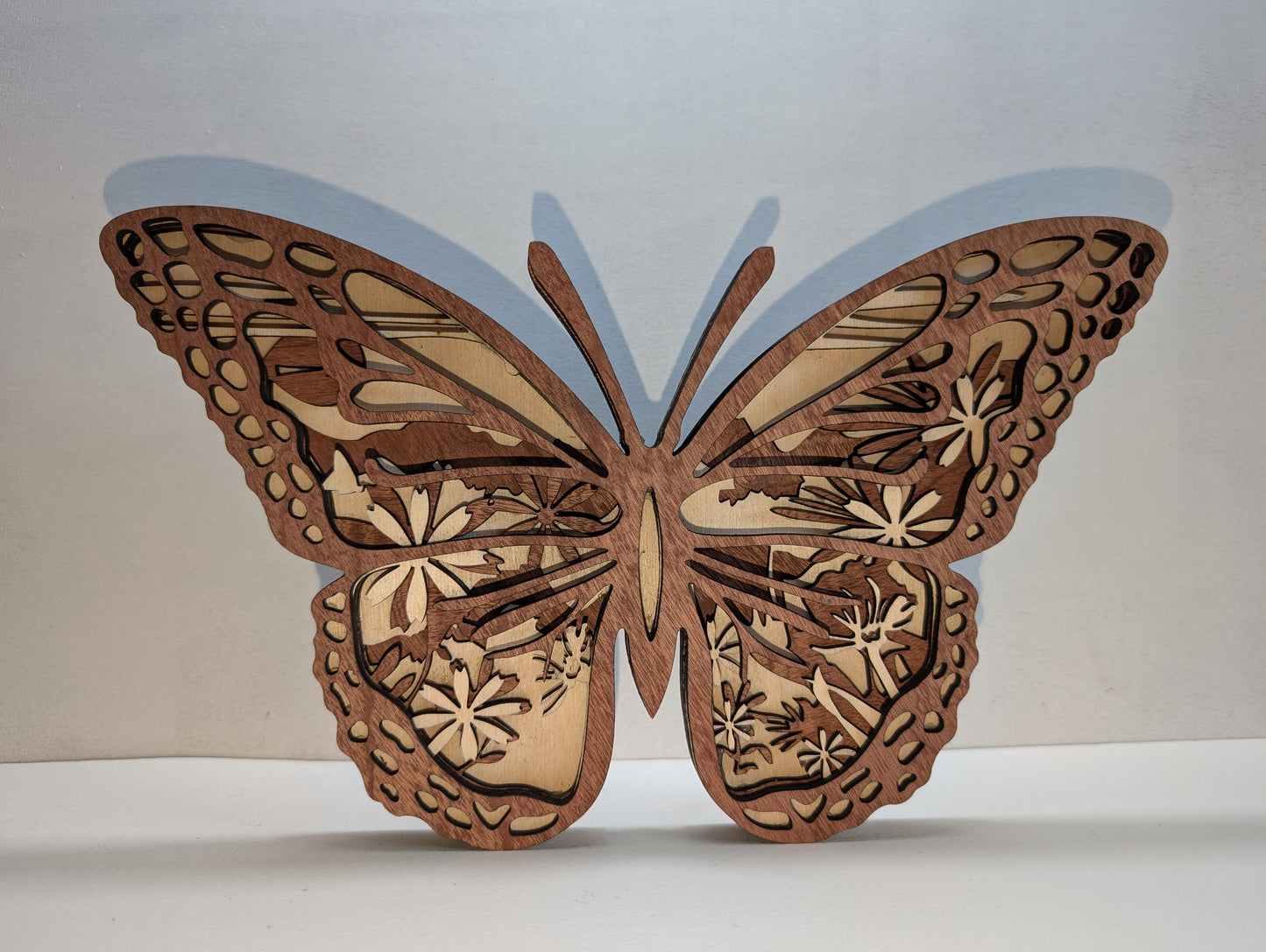 Papillon